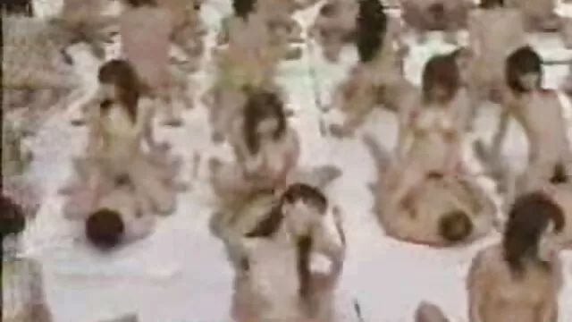 جوجه قرمز طلایی به عكس كوس خارجي گربه مالش و لرزیدن می دهد
